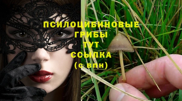 амф Дмитриев