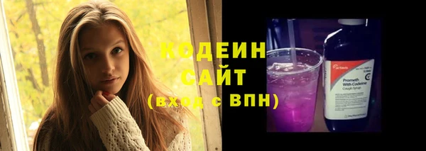 амф Дмитриев