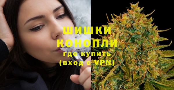 амф Дмитриев