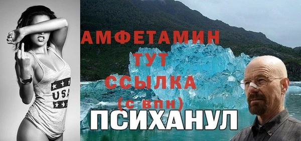амф Дмитриев
