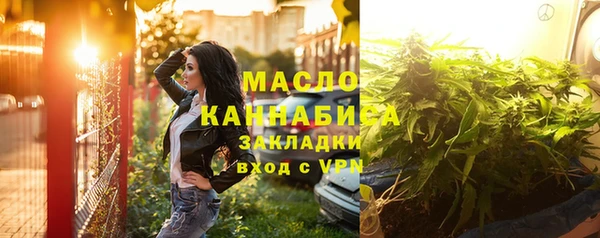 амф Дмитриев