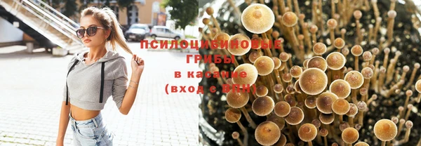 амф Дмитриев