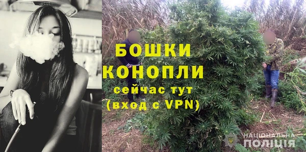 амф Дмитриев